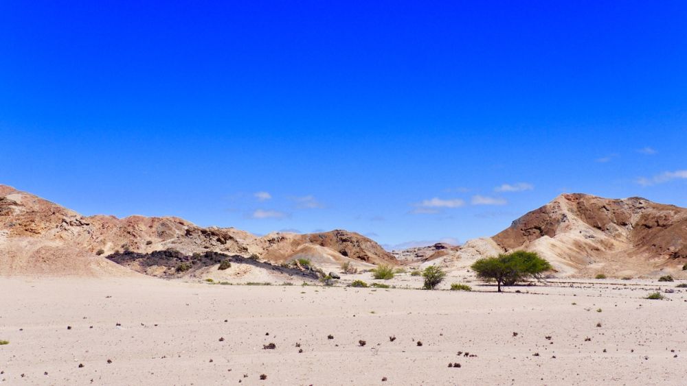 Training and speaking engagements as a service